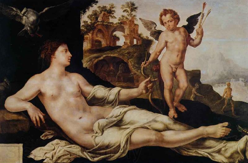 Maarten van Heemskerck Venus and Cupid Norge oil painting art